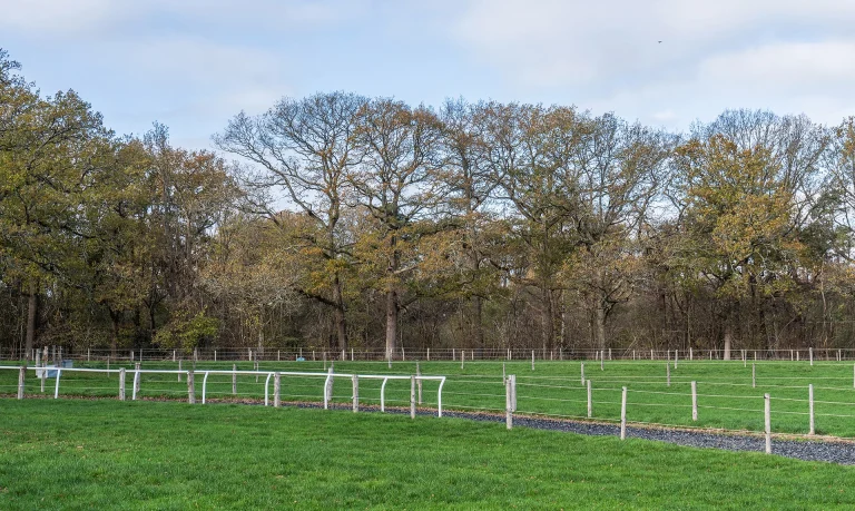 Jolly Good Sports Lockskinners Studio Chiddingstone Kent 02