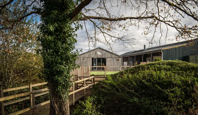 Jolly Good Sports Lockskinners Studio Chiddingstone Kent 03