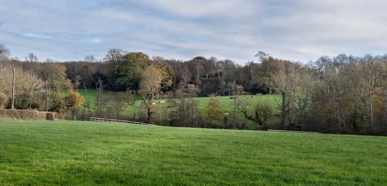 Jolly Good Sports Lockskinners Studio Chiddingstone Kent 21