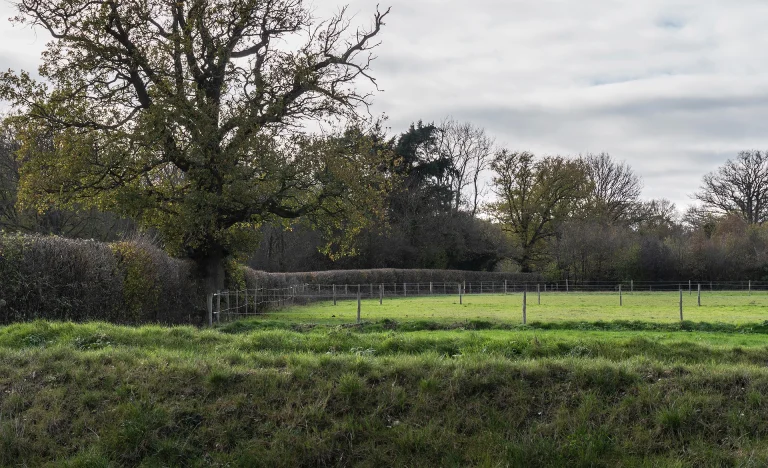 Jolly Good Sports Lockskinners Studio Chiddingstone Kent 32