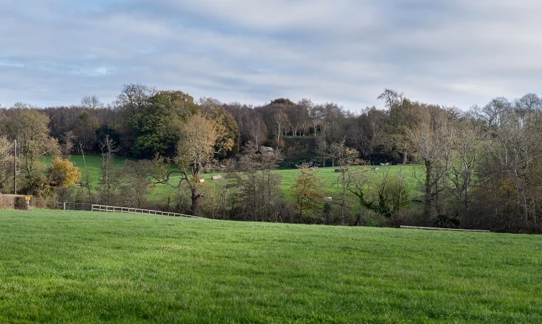 Jolly Good Sports Lockskinners Studio Chiddingstone Kent 21